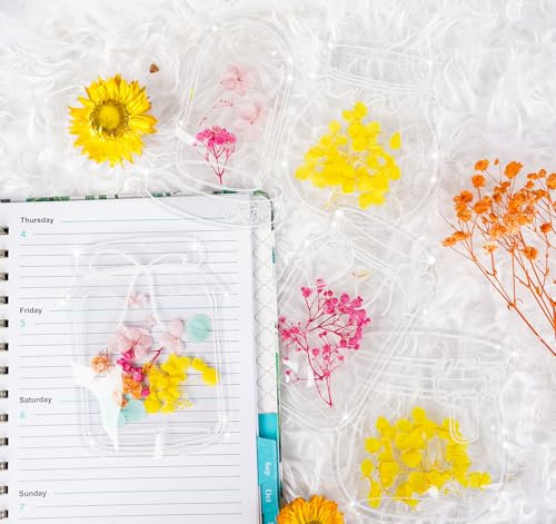 50 Stück Transparente Lesezeichen Getrocknete Blumen mit Bunten Quasten, Blossom Tabs Lesezeichen Basteln Geschenk mit Loch für Frauen Mama Kinder DIY Handwerk Geschenkanhänger (Glasflasche)