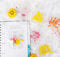 50 Stück Transparente Lesezeichen Getrocknete Blumen mit Bunten Quasten, Blossom Tabs Lesezeichen Basteln Geschenk mit Loch für Frauen Mama Kinder DIY Handwerk Geschenkanhänger (Glasflasche)