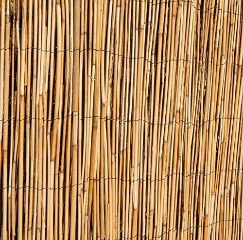 Papillon Peeled Reed Natural Garden Screening Roll Privacy Wind/Sun Protection 4m x 1.2m (13ft 1in x 4ft)