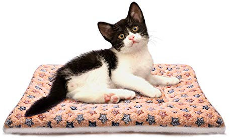 Coperta per cani gatti in pile Super Softe Stuoia calda e morbida per cani e gatti