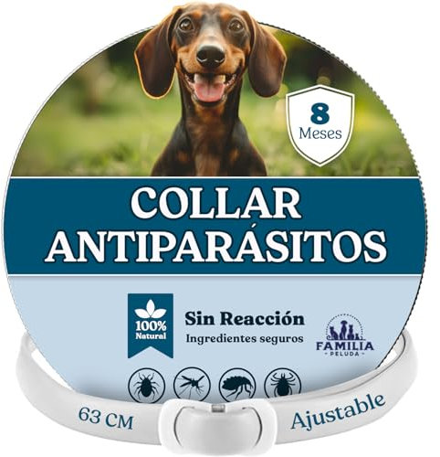 Collar Antipulgas Perros - Collar Antiparasitario Perros pequeños y Grande - Leishmaniosis (Mosquitos), Pulgas y Garrapatas - 8 Meses - 63cm Ajustable, Repelente 100% Natural, Impermeable