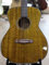 Tanglewood Sundance Delta Historic TW40 O D Akustikgitarre