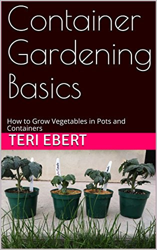 Container Gardening Basics: How to Grow Vegetables in Pots and Containers