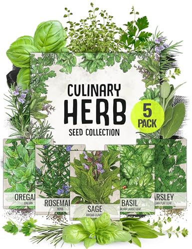 Seed Needs Italian Herb Seeds Variety Pack of 5 Rosemary Basil Sage & More