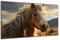 DARO Design - Wand-Bild auf 6mm HDF 40x30 cm Pferd Kopf Portrait - Wand-Deko Bilder Geschenk