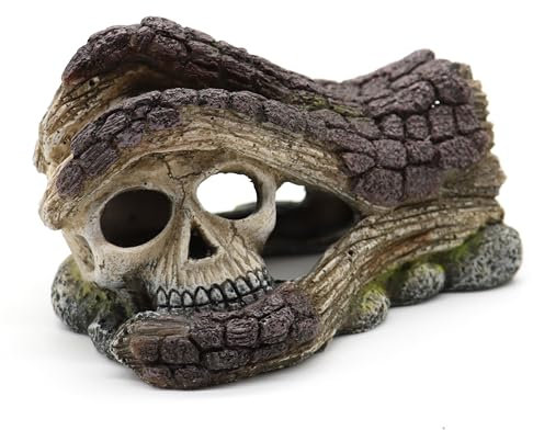 Amtra Crâne décoratif pour Aquarium d'eau Douce et d'eau de mer en résine, Aspect Bois, Non Toxique, 13 x 10,5 x 8,3 cm