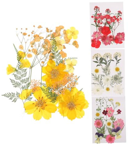 ULDIGI 4taschen Getrocknete Pressblumen Für -Dekorationen Mit Natürlichen Blumen Für Schmuck Grußkarten Lesezeichen Und Mehr Leicht Und Pflegeleicht Für Kreative Projekte