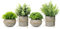 TFCIOD 4 Piezas Plantas Artificiales Decorativas, Planta Artificial Pequeña, Mini Ecologización Macetas Artificiales Decorativas, Fake Plants para Cocina, Salón,Oficina Mesa, Decoracion (001)