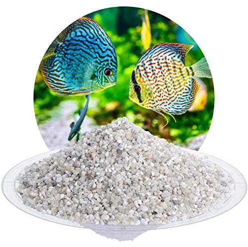 Schicker Mineral Aquariumkies Natur 25 kg, feiner Aquariumsand gewaschen, ungefärbt, kantengerundeter Bodengrund, Kies für Süßwasseraquarien, Meerwasseraquarien, Aquascaping (2,0-3,15 mm)