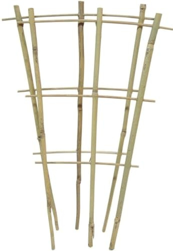 Bamboo Fan Pot Ladder Trellises, Outdoor,Indoor Plant Support, Weather Resistant Provide Support To Climbing Plant Trainer Available in 85cm and 110cm (3, 110cm (43.3 Inches)) (3, 60cm)