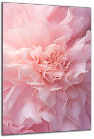 DARO Design - Wand-Bild auf 6mm HDF 70x50 cm lila Blumen Nahaufnahme Rosa Blüte - Wand-Deko Bilder Geschenk