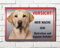 Schild Labrador Retriever Vorsicht Hier wache ich - Betreten auf eigene Gefahr! - Achtung - Hundeschild Warnschild- - Warnung vor dem Hund - M1 (Silber gebürstet, 30x20 cm)