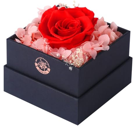 Dekun Rose Eternelle,l'infini Roses en boîte Cadeau Anniversaire Femme, Cadeau Noël Saint-Valentin préservées Rose (Rose)