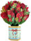 scicent Geburtstagskarte Frau Pop-Up Karte Rot Rose Blumen 3D Muttertagskarte Danke Mama Karte Muttertag Geburtstag Karten Geburtstagskarte für Frau - 20542