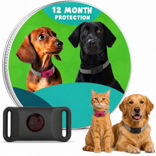 12 Monate Floh- Und Zeckenfrei, Care zecken Hals Band für Hunde Natürliche,für kleine,mittlere & große Hunde und Katzen
