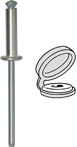 Restagraf - Rivets Épanouis avec Chapos Blancs pour Plaques d'Immatriculation - Diamètre 4 mm - Longueur 16 mm - Réf. 4996 - Boîte de 400