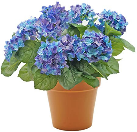 GreenBrokers Künstliche Hortensien im Terrakottafarbenem Topf, Höhe 46 cm, Blau