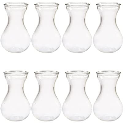 UPKOCH 8pcs Elegant Glass Flower Vase for Office Home Decor Hyacinth Vase for Plant Lover Gifts