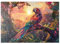 MyPuzzle Leoparden-Papagei - Fantasie-Tier im farbenprächtigen Dschungel - Premium 500 Teile Puzzle - MyPuzzle Sonderkollektion von Starnberger Spiele