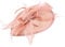 Frcolor Fascinator Hut, Hochzeit Feather Hut Filz Hut für Frauen (Pink)