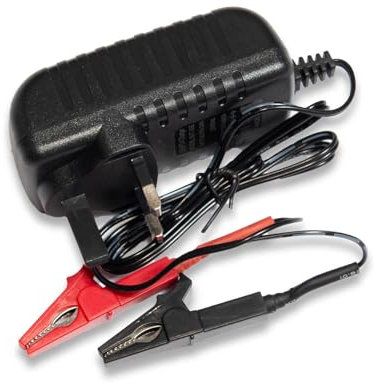 LOWENERGIE 2A Charger for 6Ah 12.8V Lithium-Ion Iron Phosphate LiFePo4 Battery12V Leisure Solar Caravan (Charger only)