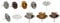 NETPROSHOP Kerzenhalter Krone Durchmesser 7-10 cm zum Stecken für Stabkerzen/Baumkerzen, Farbe:Gold Antik, Auswahl:7 cm