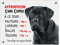 Plaque Cane Corso à ce jour compte ses succès panneau humour attention au chien pancarte monte la garde
