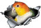 Realistic 3D Auto Aufkleber, 2 Stück Tier Lustige Aufkleber Dekorativer Motorrad Reflektierende Aufkleber Auto Dekoration Styling Aufkleber für Auto,LKW,Stoßstange Aufkleber Sticker,Vogel