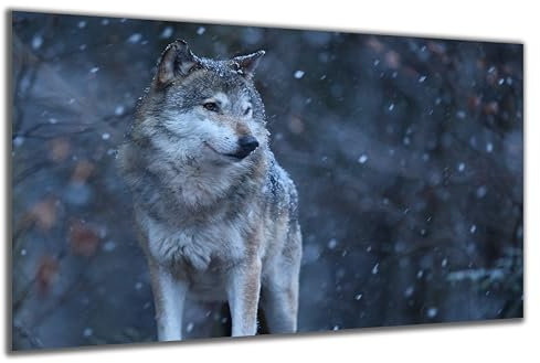 DARO Design - Wand-Bild auf 6mm HDF 30x20 cm Wolf Schnee - Wand-Deko Bilder Geschenk