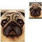 3D LiveLife Linsenförmige Wandkunst Drucke - Mops von Deluxebase. Ungerahmtes 3D Hund Poster. Perfekter Wandfüller. Original kunstwerk lizenziert von bekannt künstler, David Penfound