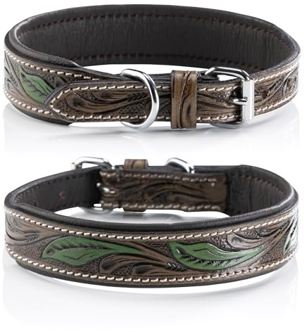 Jack & Russell Unikat Hundehalsband aus Leder, Hand-geschnitzt & gepolstert– Halsband aus Büffelleder, Hunde Lederhalsband braun/dunkelgrün Hailey (M (31,5-40,0cm))