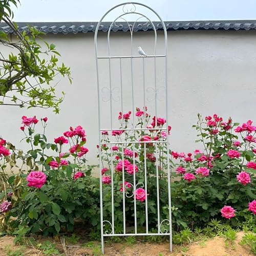 Rankgitter Metall 90cm 115cm 160cm 180cm 200cm 220cm, Rostfrei Rankhilfe Garten Spalier Rankzaun Kletterpflanzen Rosengitter(White,50x220cm)