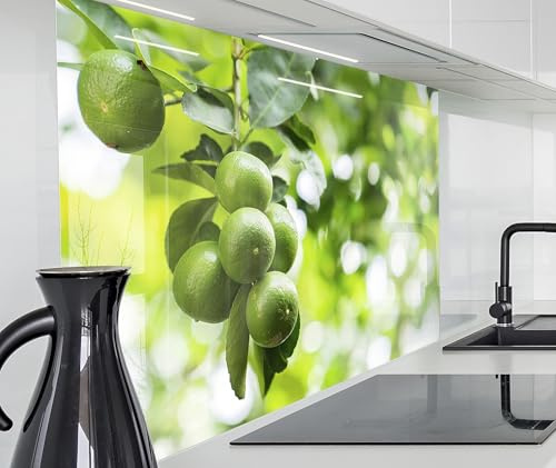 timalo Herd Spritzschutz Wand Spüle, Küche Küchenrückwand Glasoptik | Acryl Glas 2mm | Glasrückwand Acrylglas Küchenpaneele Rückwandschutz Platte | 160x50cm Grüne Zitronen Blätter