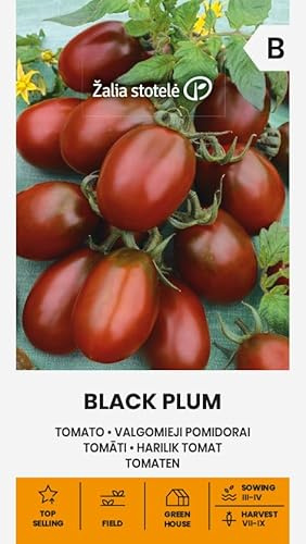 Zalia stotele | Graines de TOMATE PRUNE NOIRE | Graines de légumes | Graines de plantes | Graines de jardin | Variété mi-précoce, à haut rendement et de grande taille | 1 paquet