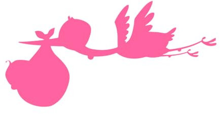 Feinschnitzerei-Aufkleber Reiher Baby Schwangerschaft Tier Vogel 45x89.3cm Mit Transferfolien-Set Rosa