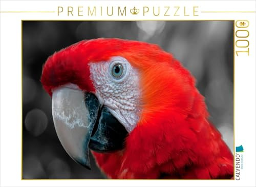 CALVENDO Puzzle Gesichter - Papagei Ara | 1000 Teile Lege-Größe 64 x 48 cm Foto-Puzzle für glückliche Stunden