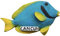 3D Fish Cancun Mexico Refrigerator Magnet Tourist Travel Souvenirs Handmade Resin Craft,Cancun Fridge Magnet Collection Gift Magnetic Stickers Home Kitchen Decoration
