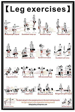 Ling88 Bilder,Poster,Kunstdrucke,Brust Hantel Workout Übung Poster ， Krafttraining Diagramm - Home Gym Gewichtheben Routine ， Bodybuilding Guide Guide Fitness Übung Wandbilder-30X40Cm