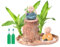 Glücksholz Aus Brasilien, Brasilianische Holzpflanze, Hydroponische Pflanze Aus Brasilianischem, Schöne Bedeutung, Heimdekoration, Leicht Zu Füttern