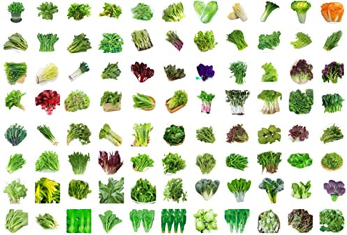 S-2.100 Salad Leaves Seeds Vegetable Chinese Thai Chive Herb Pakchoi (H04 Agastache Herb藿香 200)