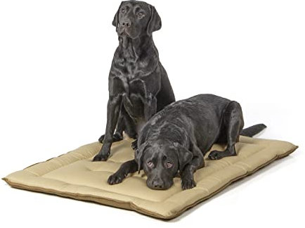 Wallace & Jones | Wendedecke pflegeleicht waschbar bis 95°C - gepolsterte Indoor/Outdoor Liegedecke für Hunde | XL - 110 x 80 cm - Beige/Braun