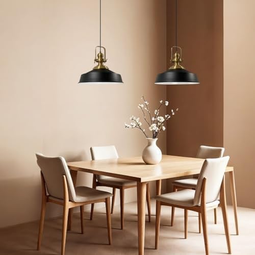 bamyum Asletl Hängelampe Ø41 cm, Pendelleuchte Vintage, Industrial aus Metall E27, Wohnzimmerlampe Hängend, Esstisch, Küchenlampe Schwarz-weiß
