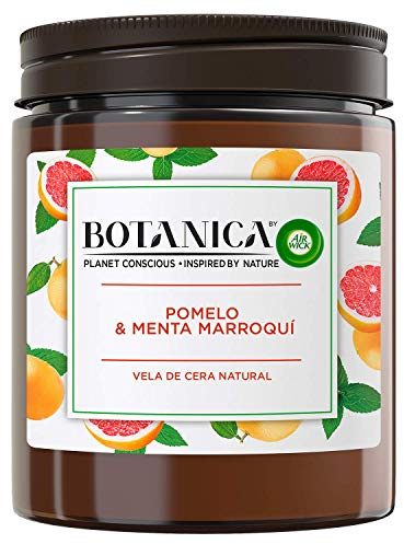 Botanica by Air Wick Duftkerze, Lufterfrischer für Zuhause, mit Duft nach Grapefruit und marokkanischer Minze