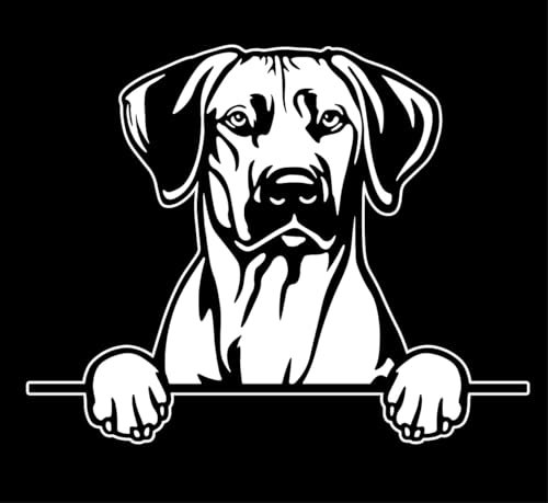 Autoaufkleber/Sticker/für Innen und Außen 28 cm weiß Rhodesian Ridgeback 01