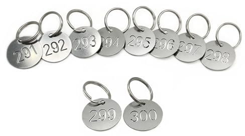 NanTun Numbers Tags 1-10, 25mm 304 Stainless Steel Hollowed Numbered Key Tags with Rings, Number ID Tags Key Chain