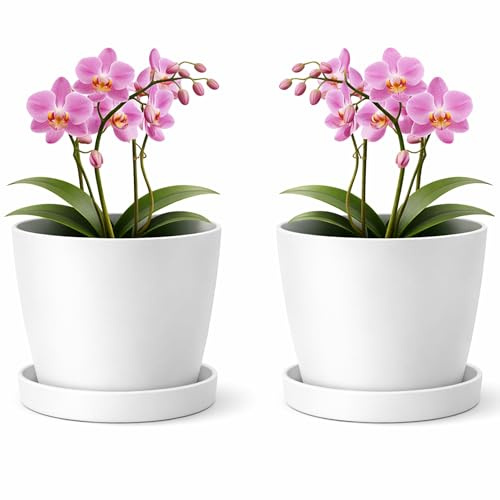 PECZEKO Maceta mate, maceta de plástico, maceta decorativa para plantas grandes y pequeñas, juego de 2 piezas con bases, maceta/maceta para hierbas, blanco nieve, ø 12 cm