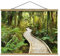 Stoffbild mit Posterleisten - Pfad im Urwald 75cm x 100cm Eiche