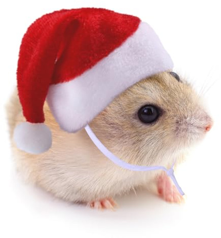 BRTNUP Mini-Weihnachtsmannmütze für Meerschweinchen, Kaninchen, Chinchilla, Katze, Papagei, Haustierkostüm