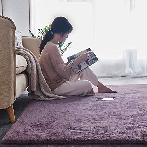Plüsch Teppich Super weicher Imitation Kaninchenfell Moderne Flauschige Innenteppiche,Lange Haare Fell Optik Gemütliches Bettvorleger Sofa Matte,Lila,60 * 160cm