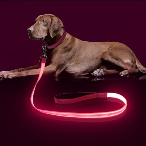 Colaseeme LED-Hundeleine, 1,2 m, Wiederaufladbar über Micro-USB, Nylongewebe, Leuchtende Sicherheitsstandard für Hunde, Rosa 4FT